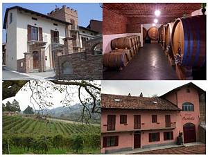 Poderi moretti open winery  on saturdays and sundays for guided tours and tasting of fine 